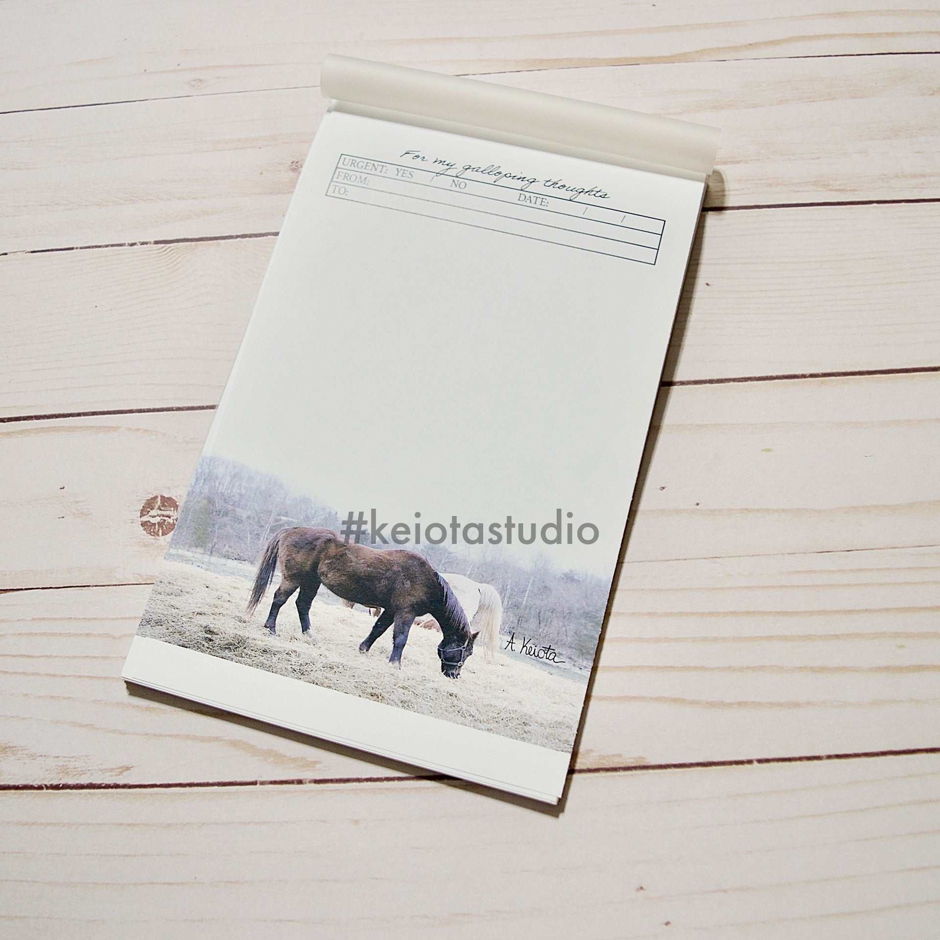 Galloping Thoughts Memo Pad